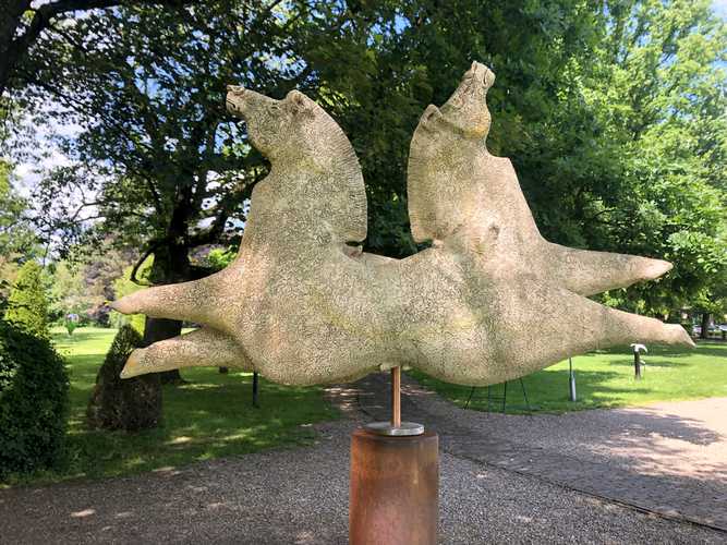Paardensprong, uncicum
